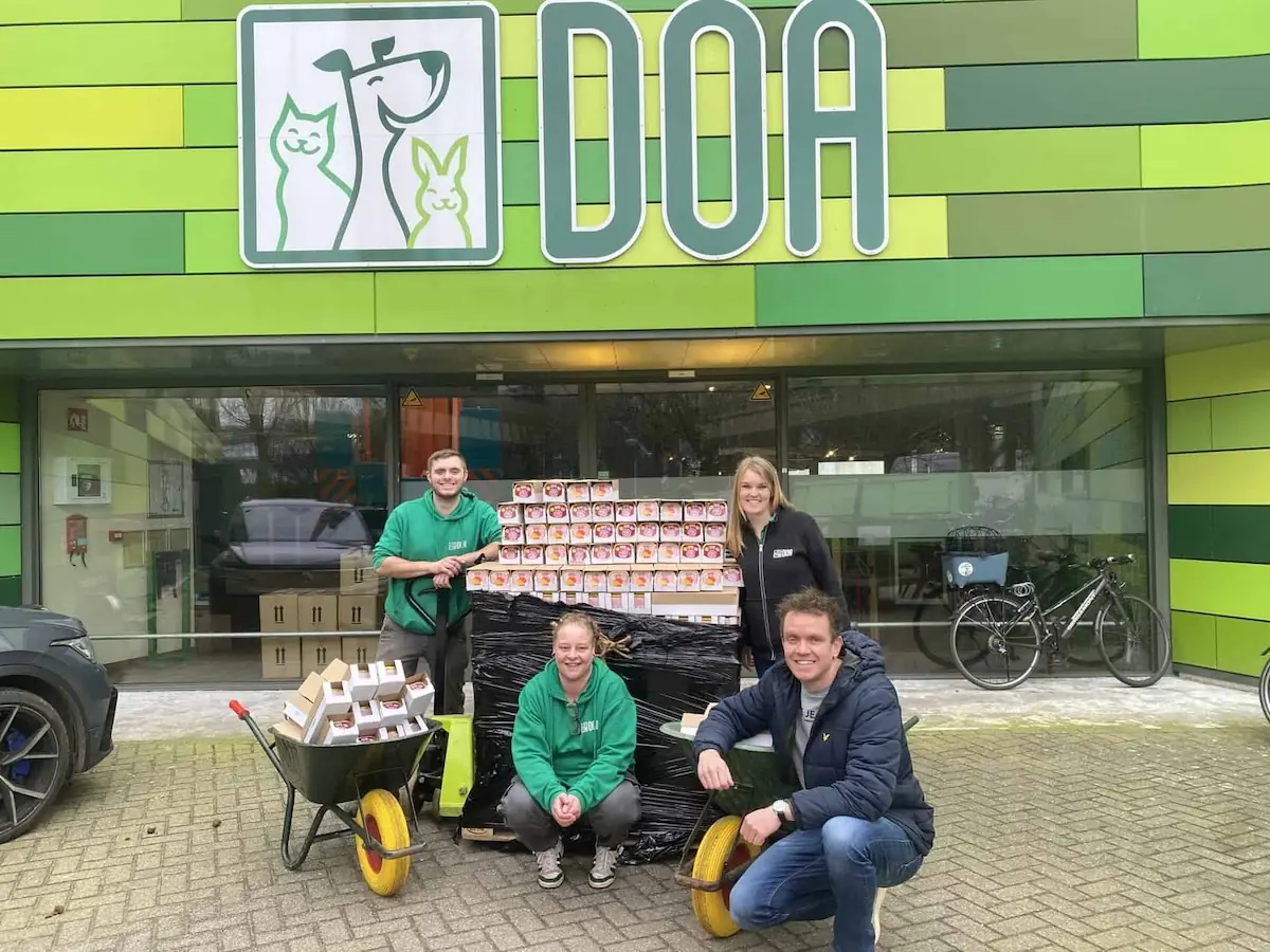 Dierenverzorger die een kat onderzoekt in de dierenkliniek