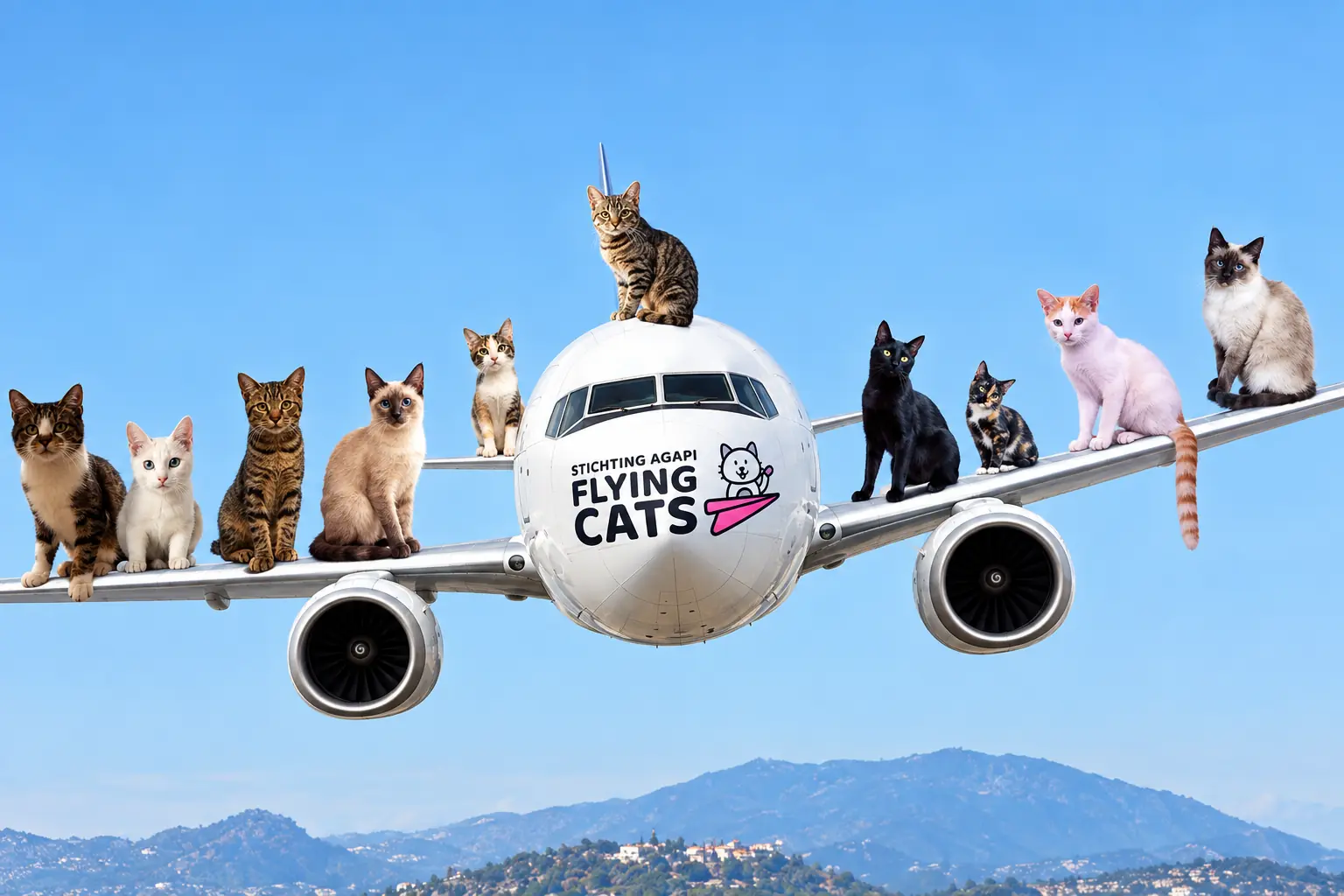 Illustratie van een kat die zich oplikt en uitrust