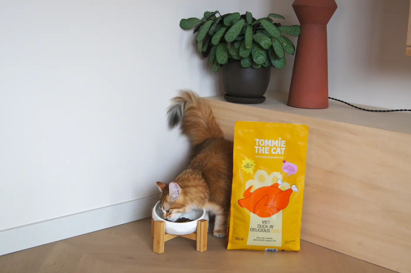 Kat eet Tommie the Cat kattenbrokken